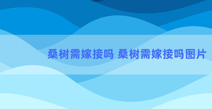 桑树需嫁接吗 桑树需嫁接吗图片